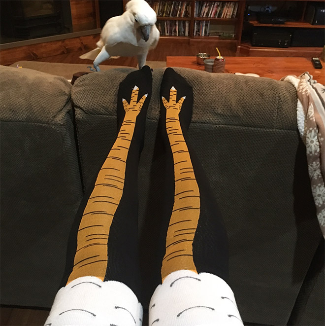 Chicken leg socks.