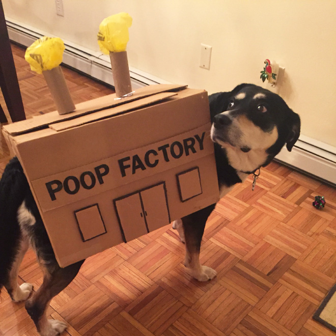 Poop factory costume.