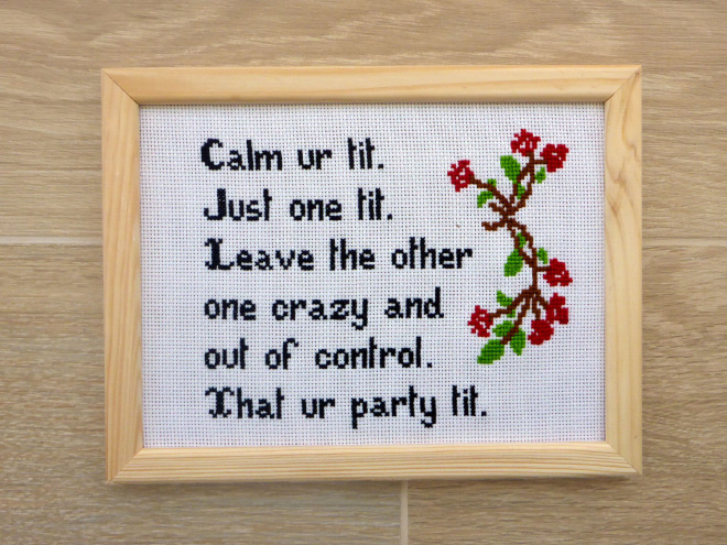 Brilliant cross stitch.