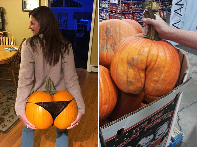 Beautiful pumpkin butts.