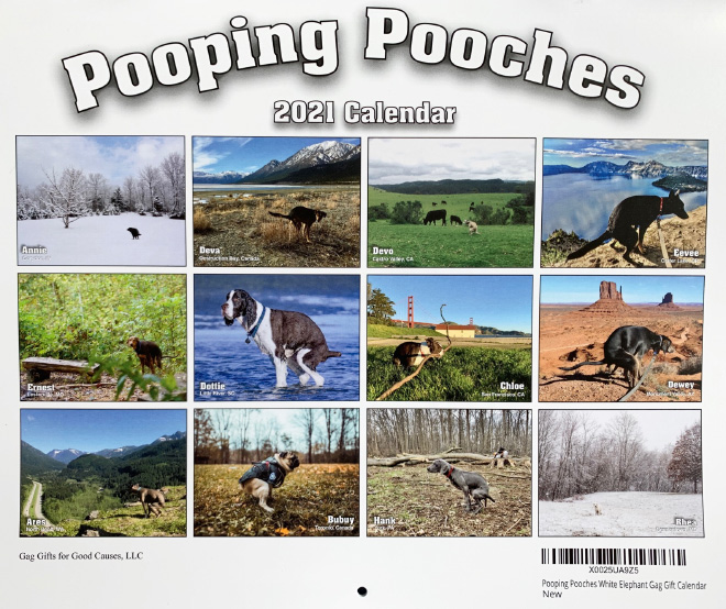 Pooping Pooches 2021 calendar is finally here!