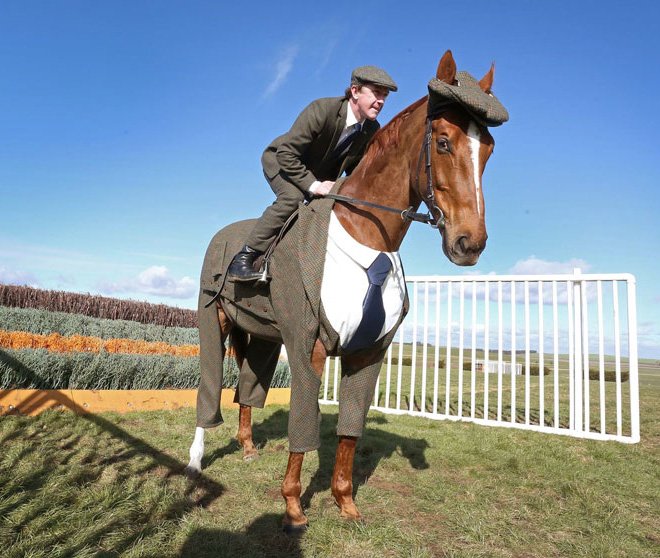 Horse in a suit.