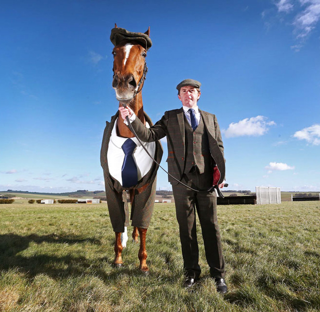 Horse in a suit.