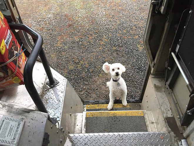 This UPS driver loves to meet good boys on his routes.