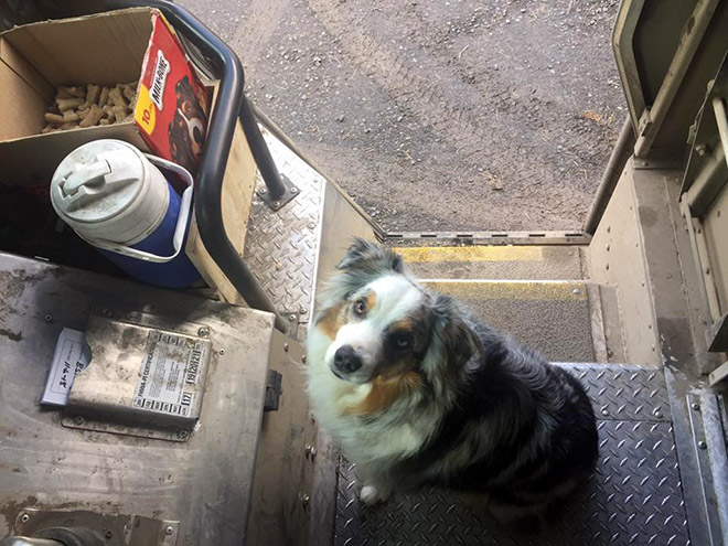 This UPS driver loves to meet good boys on his routes.