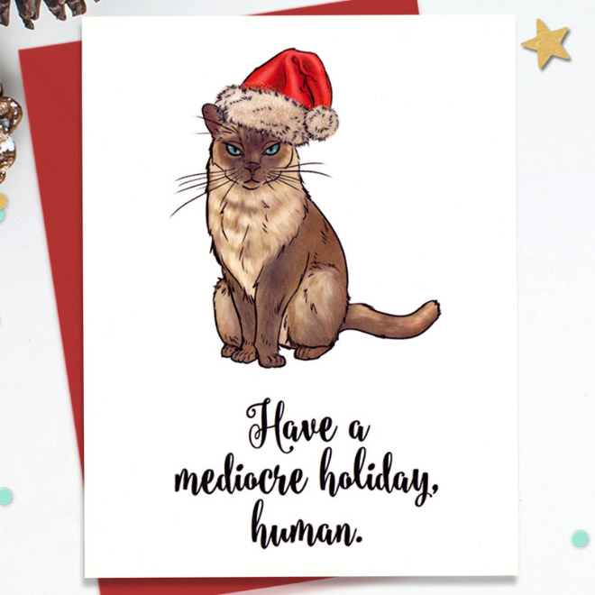 Christmas card from a cat.