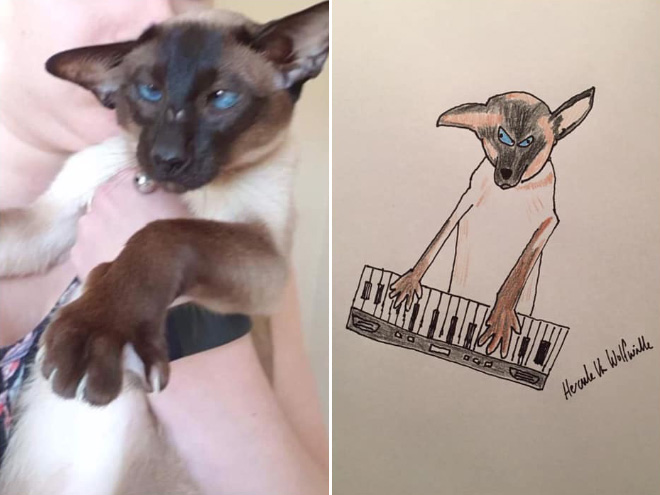 Hilariously terrible pet drawing.