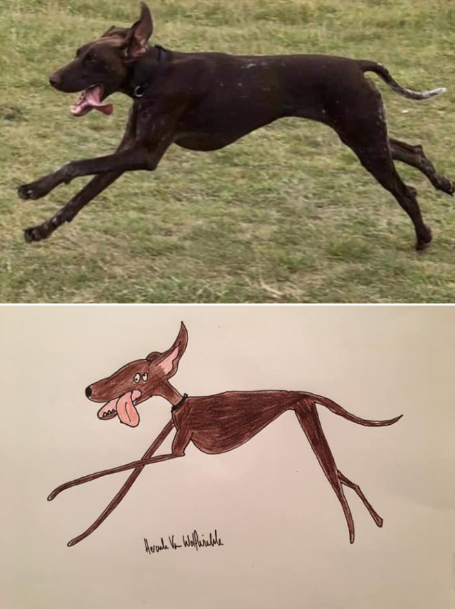 Hilariously terrible pet drawing.