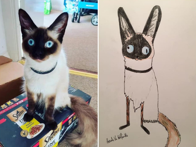 Hilariously terrible pet drawing.