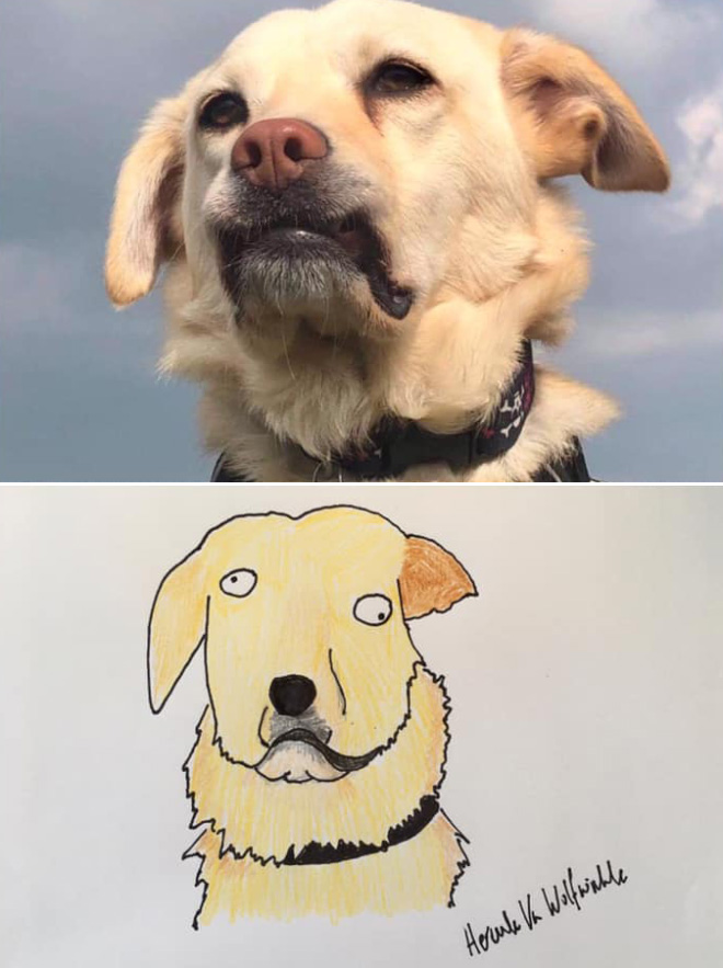 Hilariously terrible pet drawing.