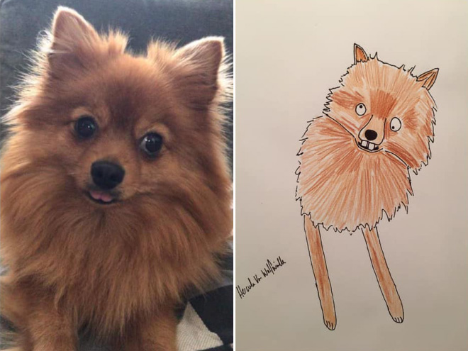 Hilariously terrible pet drawing.