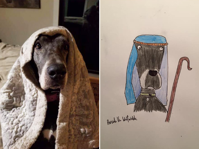 Hilariously terrible pet drawing.