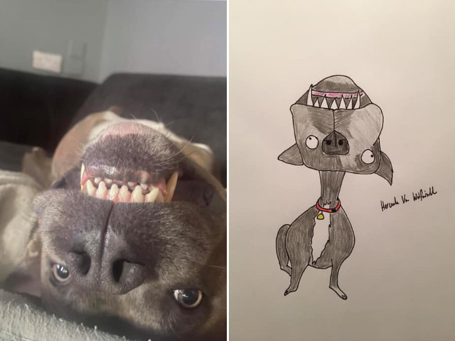 Hilariously terrible pet drawing.