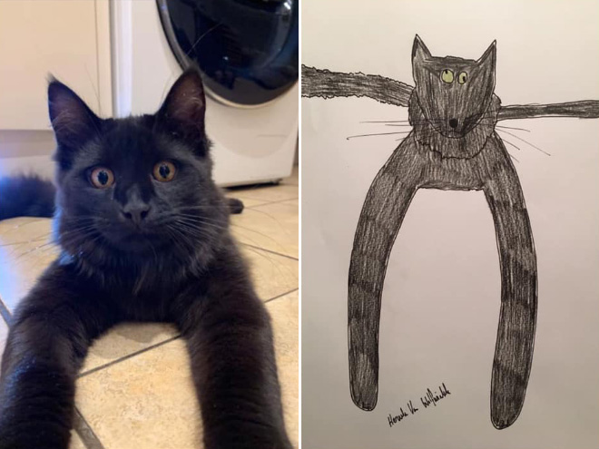 Hilariously terrible pet drawing.