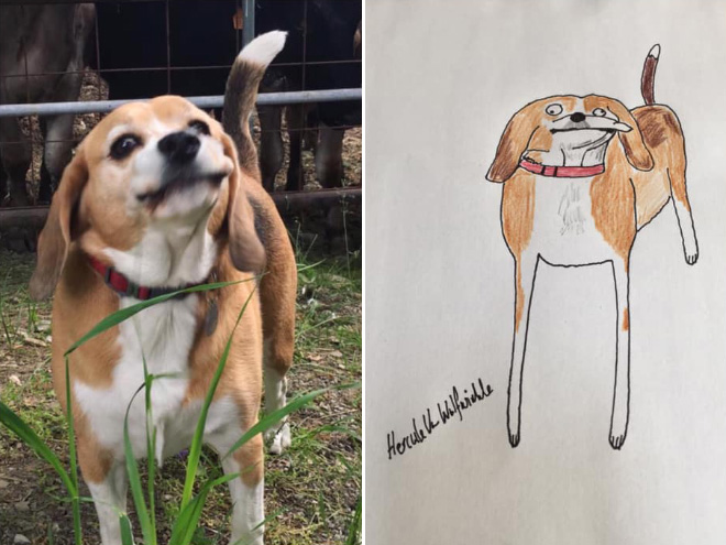 Hilariously terrible pet drawing.