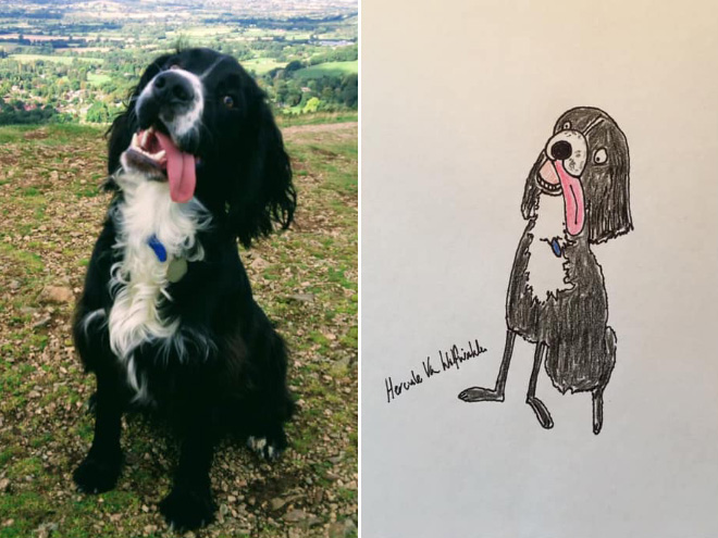 Hilariously terrible pet drawing.