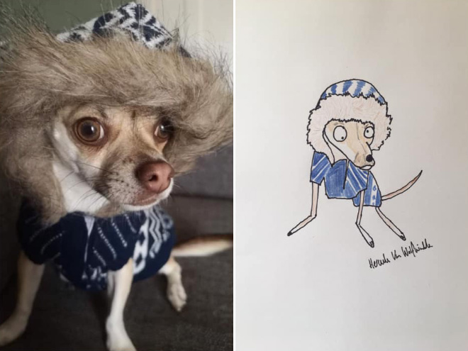 Hilariously terrible pet drawing.