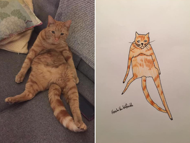 Hilariously terrible pet drawing.