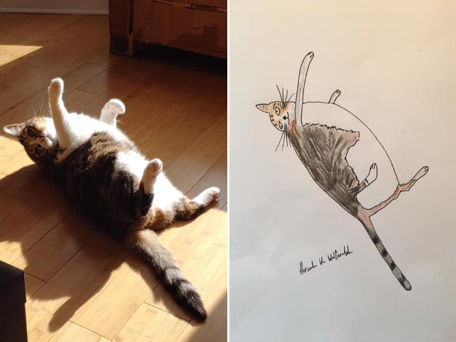 Hilariously terrible pet drawing.