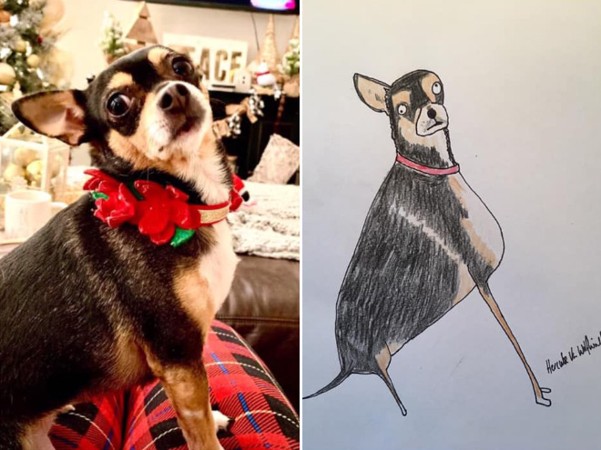 Hilariously terrible pet drawing.