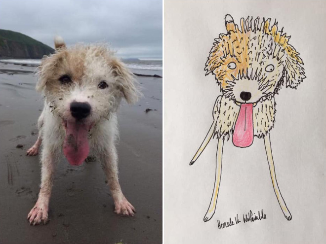 Hilariously terrible pet drawing.