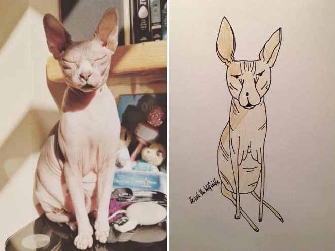 Hilariously terrible pet drawing.