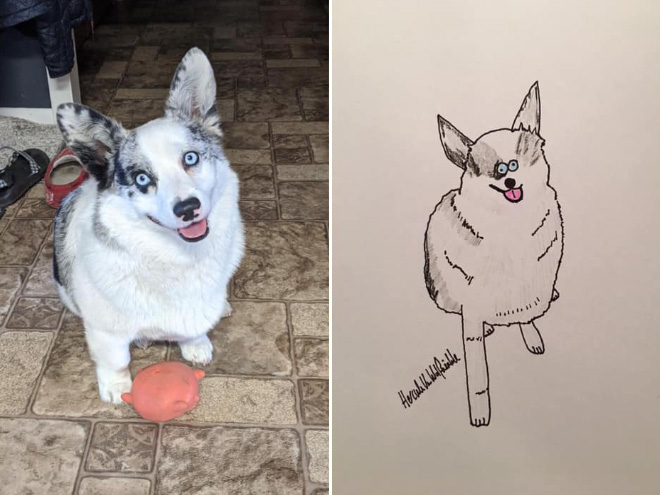 Hilariously terrible pet drawing.