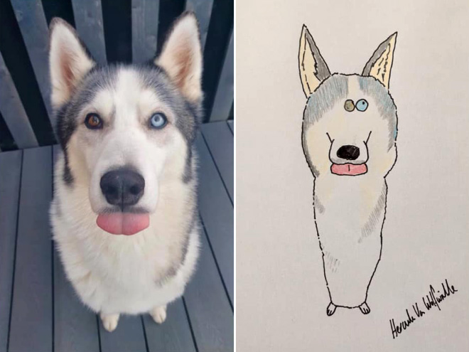 Hilariously terrible pet drawing.