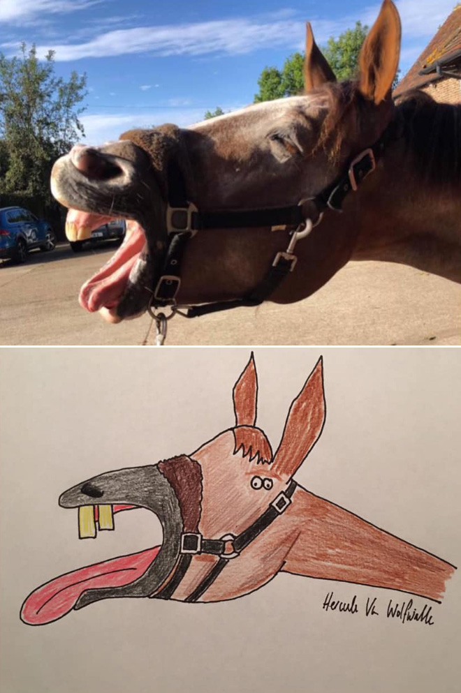 Hilariously terrible pet drawing.