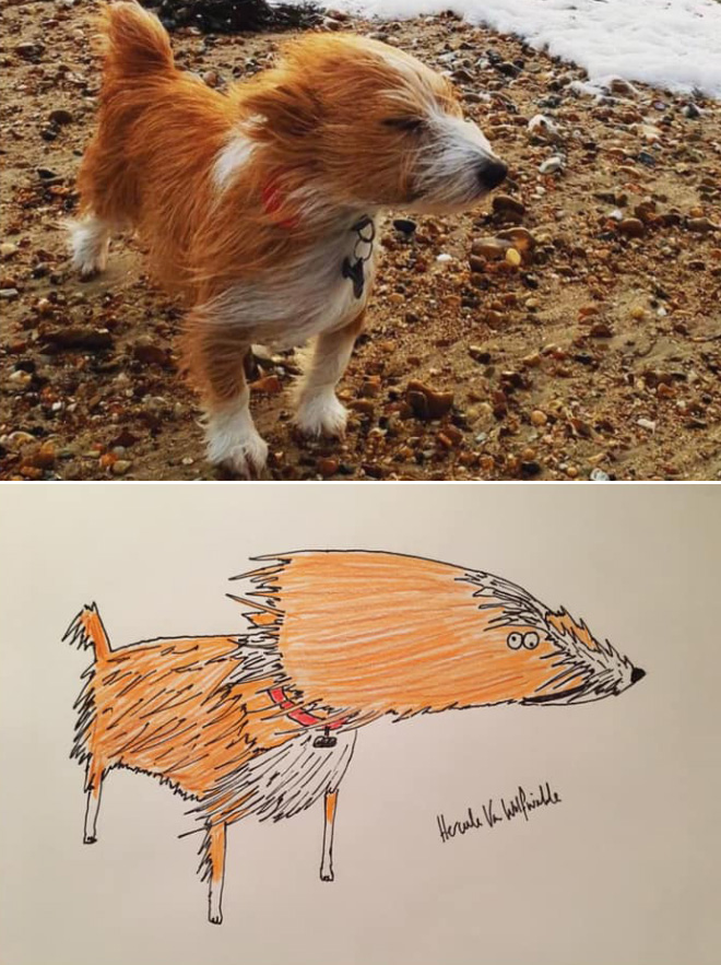 Hilariously terrible pet drawing.