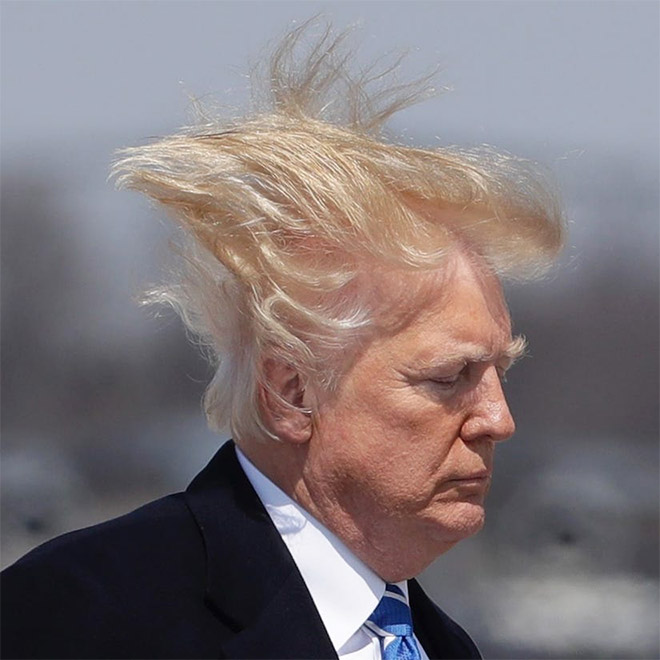 Trump vs. wind.