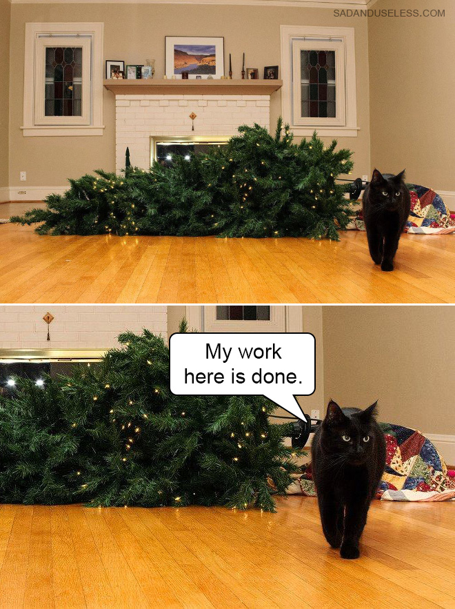 Cat vs. Christmas tree.