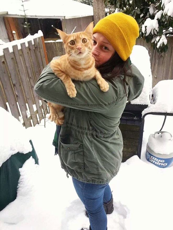 Cat meeting snow for the first time ever.