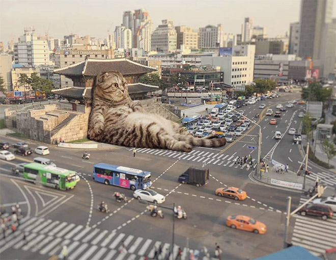 Godzilla cat.