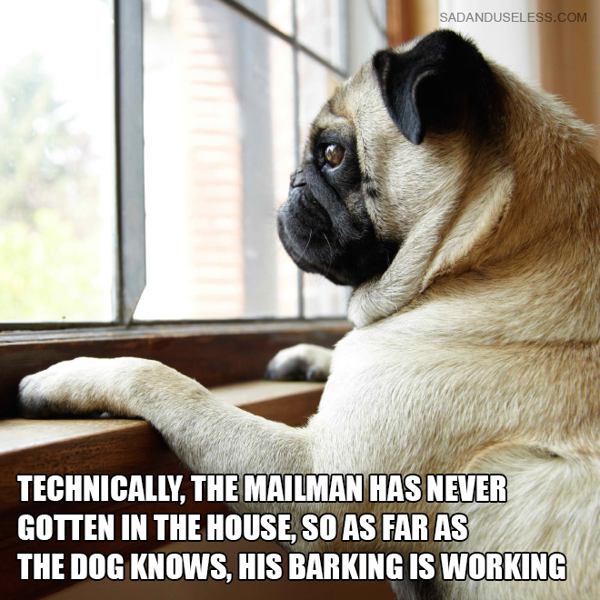 Technically, the mailman has never gotten in the house, so as far as the dog knows, his barking is working.