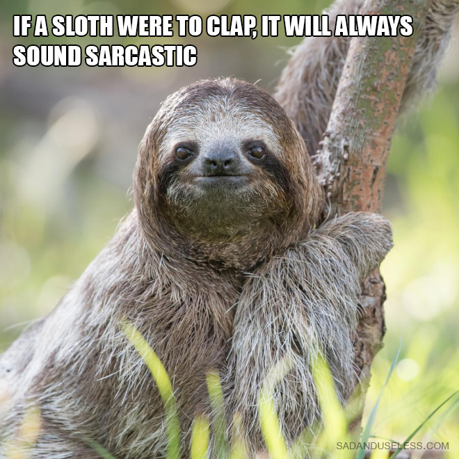 If a sloth were to clap, it will always sound sarcastic.