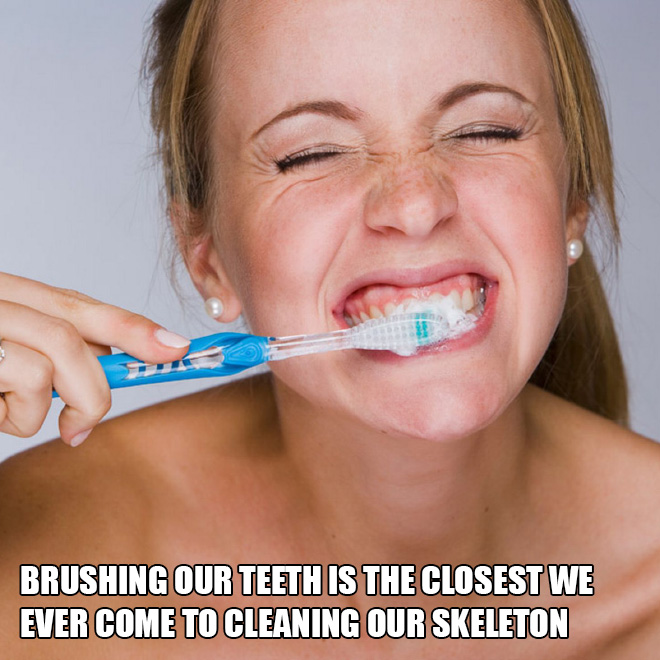 Brushing our teeth is the closest we ever come to cleaning our skeleton.