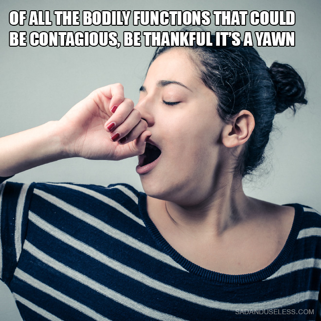 Of all the bodily functions that could be contagious, be thankful it's a yawn.