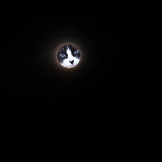 Toilet paper roll Moon photo.