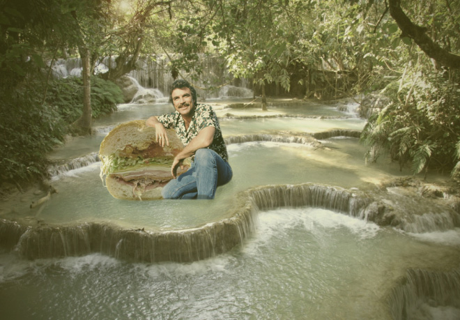 Tom Selleck photoshopped into a waterfall scene with a sandwich.