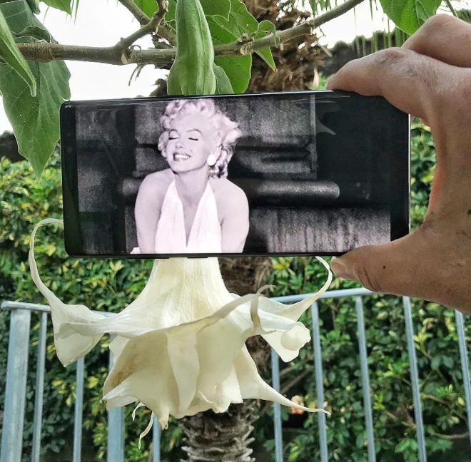 Funny photo/reality manipulation with a phone.