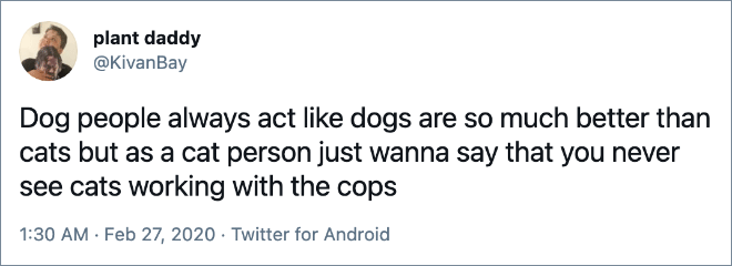 Dog people always act like dogs are so much better than cats but as a cat person just wanna say that you never see cats working with the cops