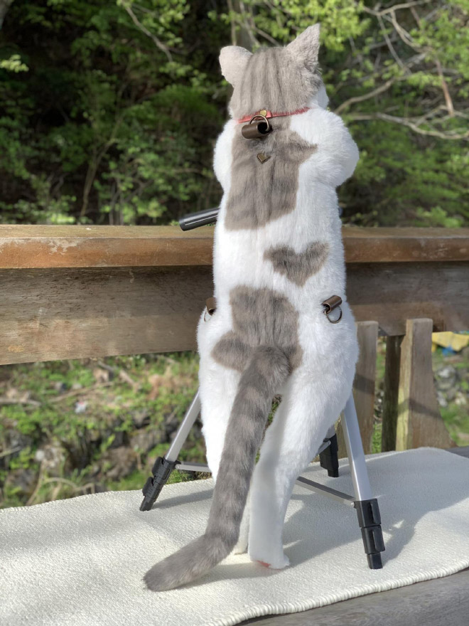 Realistic cat backpack.