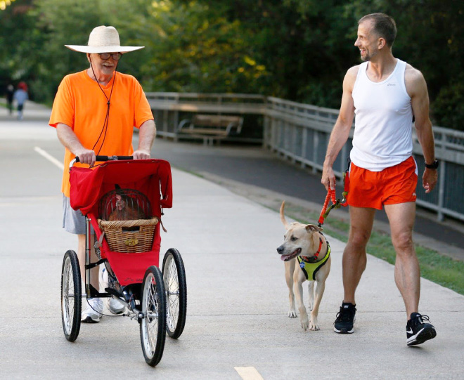 Chicken stroller in action.