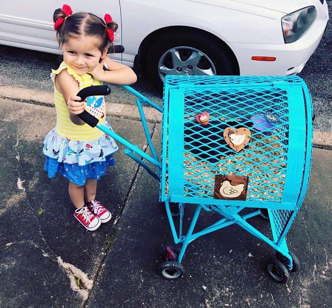 Chicken stroller in action.