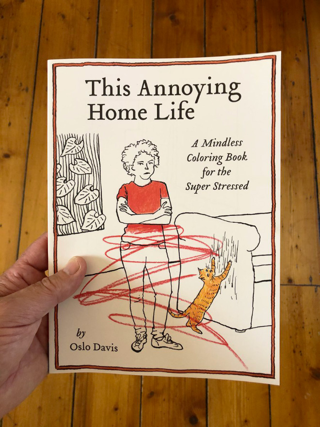 Even at the best of times, daily life can get kind of annoying. And home may be where the heart is, as they say, but it's also where the little things can really add up. This Annoying Home Life coloring book taps into the minor stresses of daily life with humor as relatable as it is hilarious.