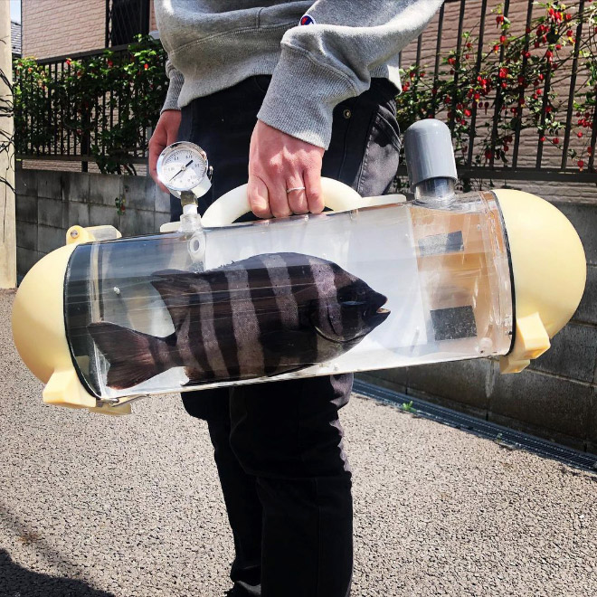 Bag for taking your pet fish for a walk.