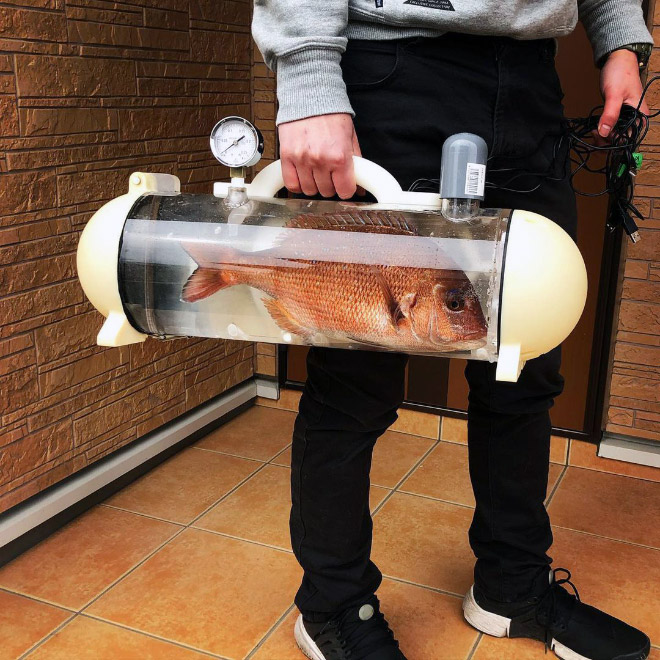 Bag for taking your pet fish for a walk.
