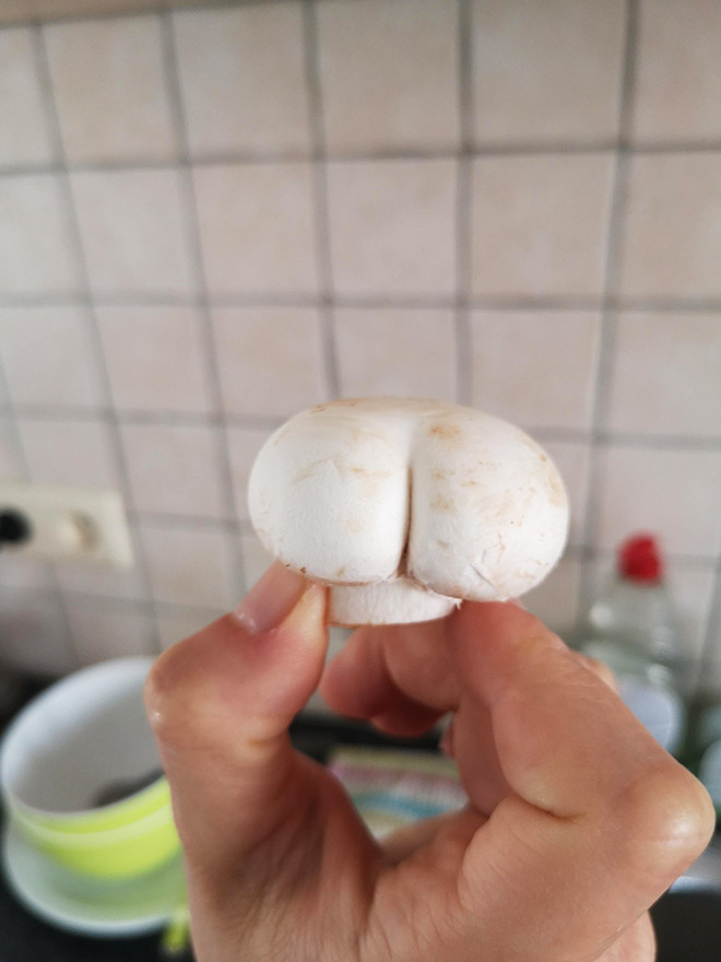 Mushroom butt.