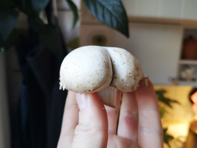Mushroom butt.